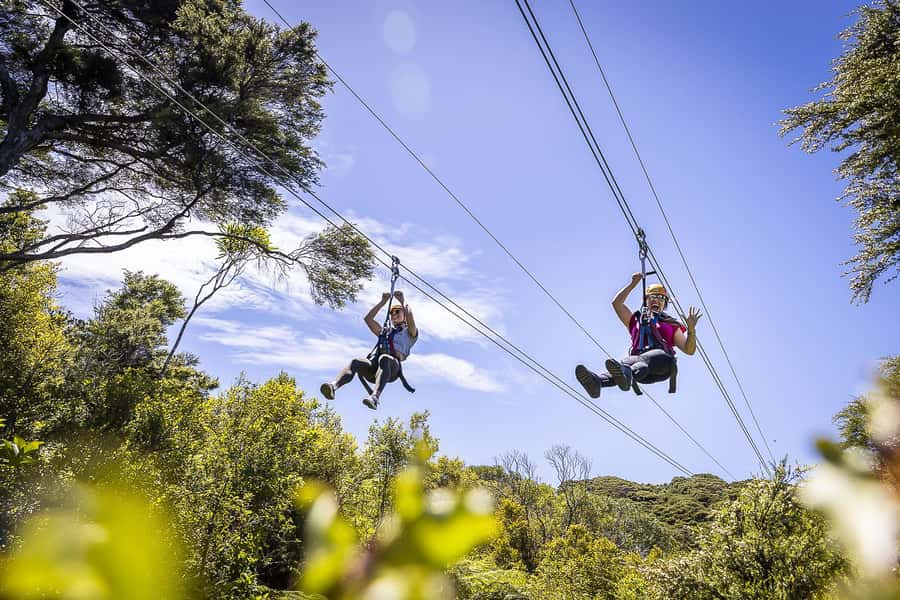 Waiheke Island: Zipline and Native Forest Adventure Trip - Getting to Waiheke: the part people underestimate