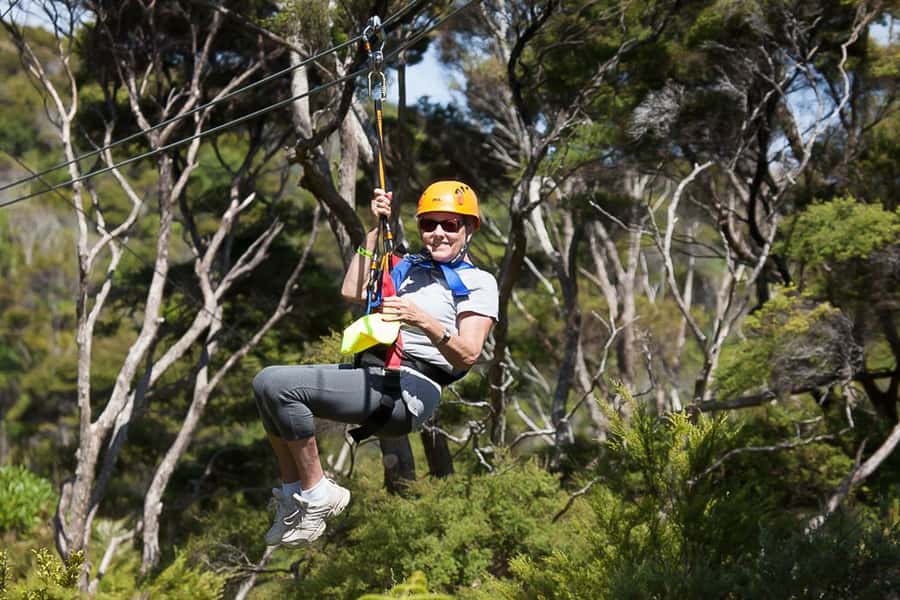 Waiheke Island: Zipline and Native Forest Adventure Trip - Flying over native bush and a working vineyard (the main event)