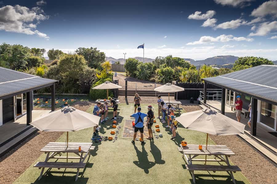 Waiheke Island: Zipline and Native Forest Adventure Trip - The guided forest return: why the walk is part of the value