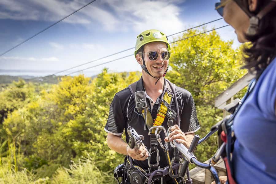 Waiheke Island: Zipline and Native Forest Adventure Trip - The Waiheke mini-tour en route: luxury sights with a purpose
