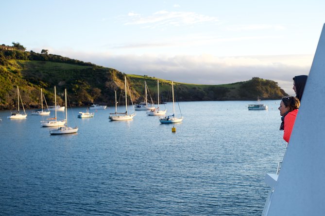 Waiheke Wine and Dine - Batch Winery - Setting Up a Waiheke Winemaking Day That Actually Feels Like a Day