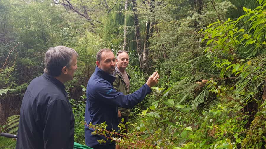 Waitakere Ranges Wilderness Experience Tour from Auckland - From Auckland to the Wild West: What This Tour Really Delivers