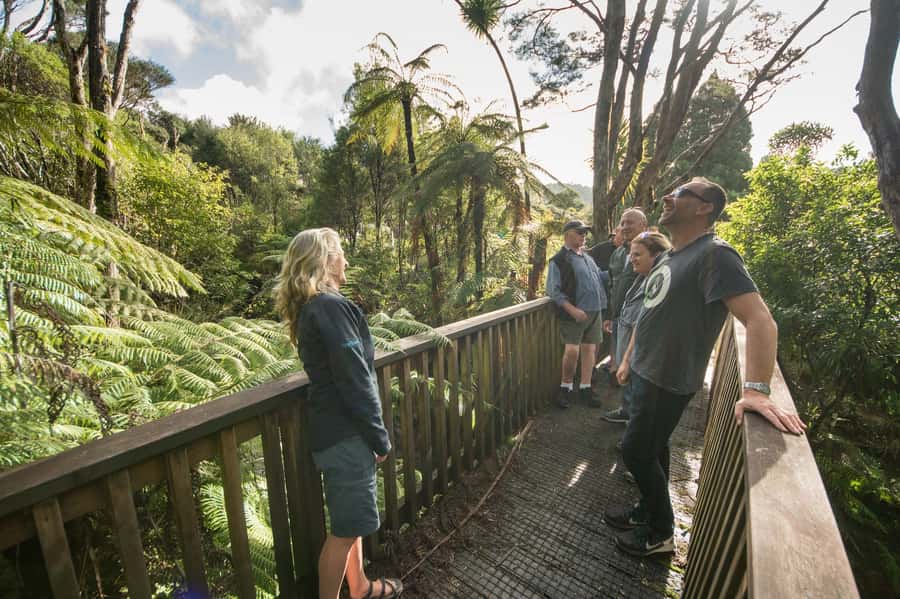 Waitakere Ranges Wilderness Experience Tour from Auckland - Guides Make the Difference: What Their Stories Tend to Sound Like