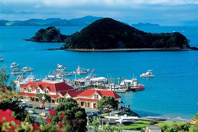 Waitangi Treaty Ground Day Trip Private Transport From Auckland - Key things worth knowing before you go