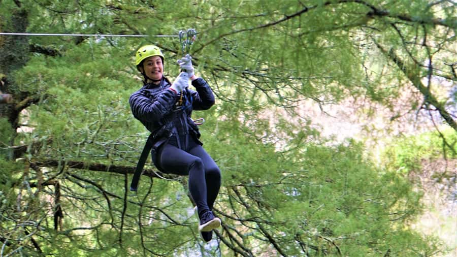 Waitomo Caves 1-Kilometer-Long Zipline Tour - Key highlights worth your attention