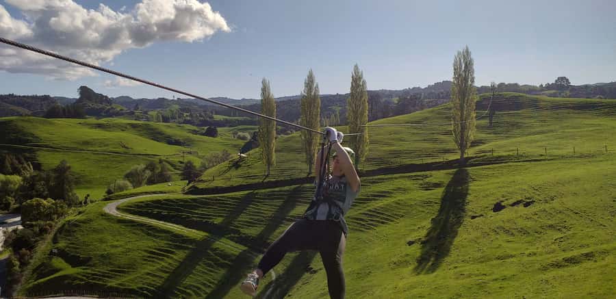 Waitomo Caves 1-Kilometer-Long Zipline Tour - Price and value: what $83 buys you in real terms