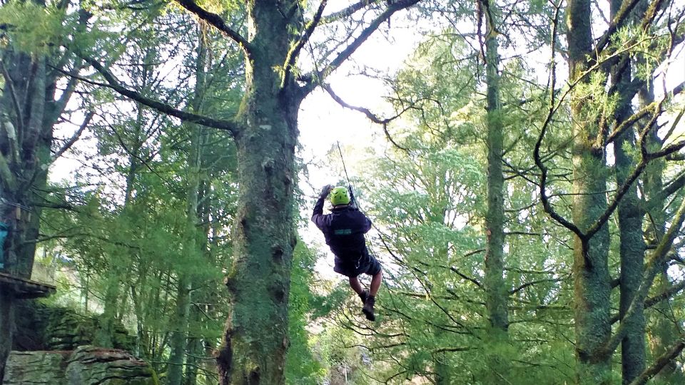 Waitomo Caves 1-Kilometer-Long Zipline Tour - Waitomo Lookout Point views: when to look, not just hold on