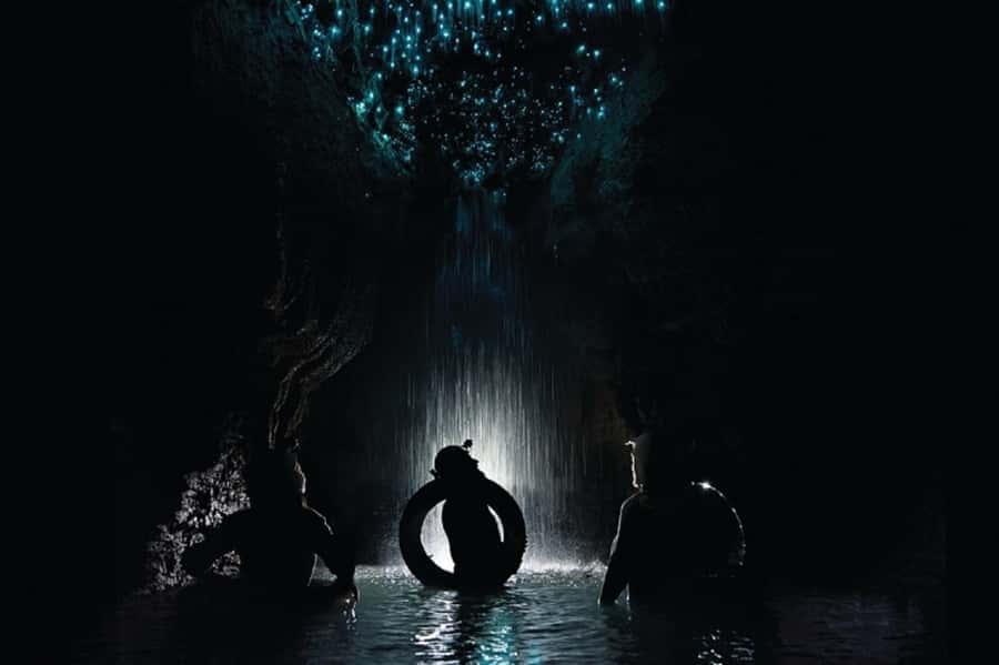 Waitomo Caves Black Abyss Ultimate Caving Experience - Glowworm zipline: the Waitomo magic in motion