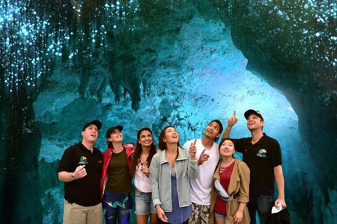Waitomo Caves & Hobbiton Small Group Tour inc Lunch from Auckland - Small-group comfort and the details that keep it easy