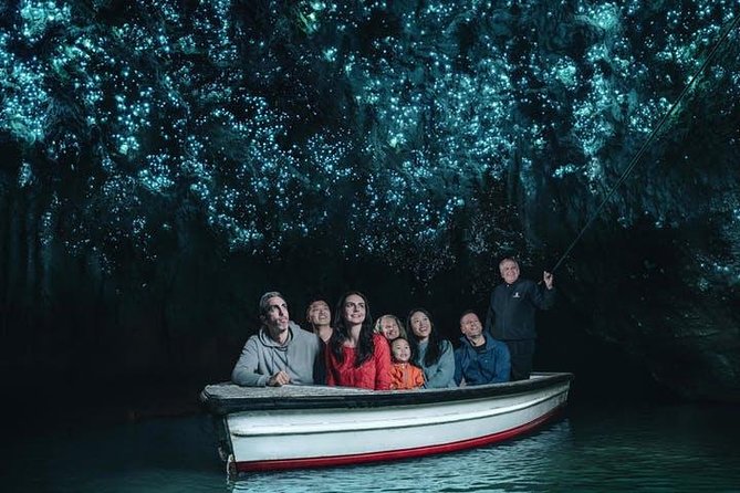 Waitomo Caves Private Tour from Auckland - Key highlights to look for