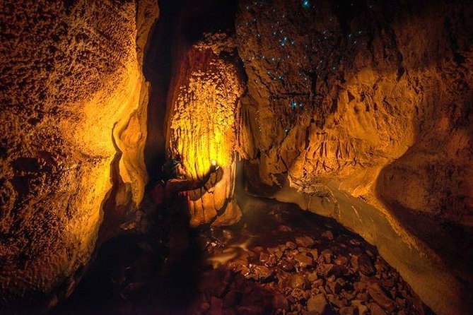 Waitomo Caves Private Tour from Auckland - Auckland To Waitomo: A Long Day That Stays Manageable
