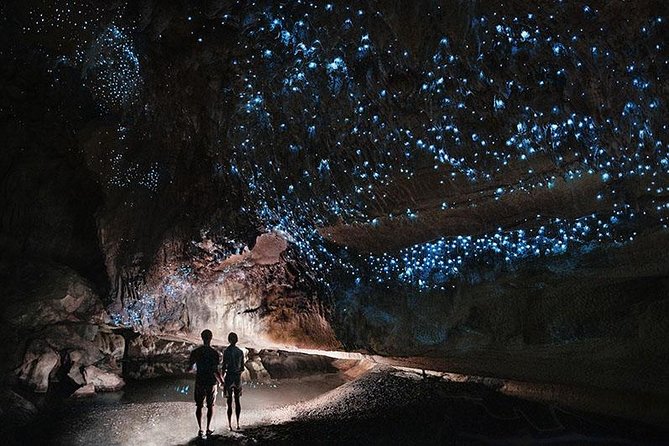 Waitomo Caves Private Tour from Auckland - The Flat-Bottom Boat On The Waitomo River: Quiet Viewing Actually Works