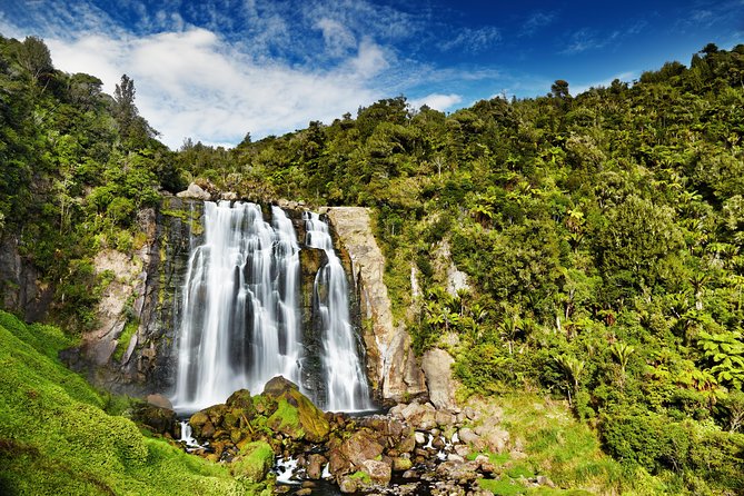 Waitomo Caves Private Tour from Auckland - What Your Guide Adds: Science, Geology, And New Zealand Storytelling