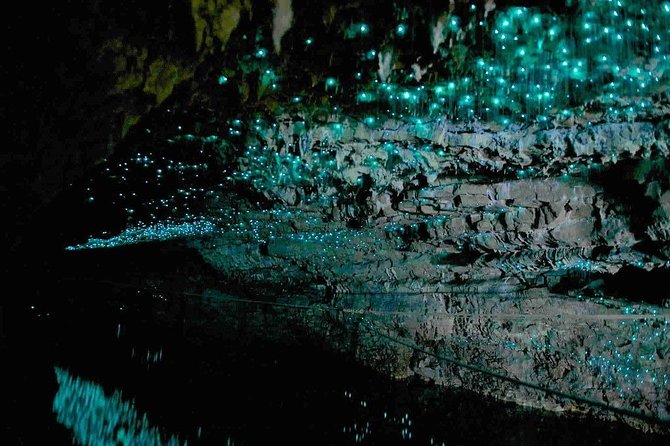 Waitomo Caves Private Tour from Auckland - Price And Value: Is $216.58 Per Person Fair?