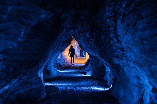 Waitomo Caves Private Tour from Auckland - Who This Private Waitomo Tour Fits Best