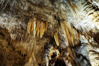 Waitomo Caves & Rotorua - Te Puia Small-Group Tour from Auckland - Pirongia and Otorohanga: quick cultural flavor, not filler