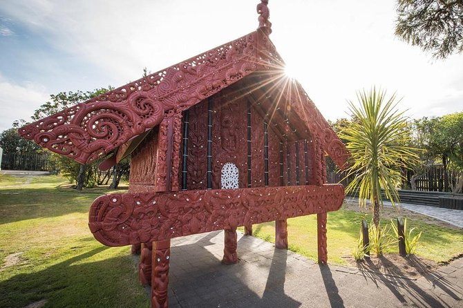 Waitomo Caves & Rotorua - Te Puia Small-Group Tour from Auckland - What to pack and how to stay comfortable all day