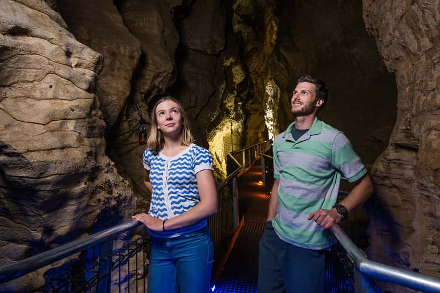 Waitomo Caves: Ruakuri Glowworm Cave Guided Walking Tour - Key Things to Know Before You Go