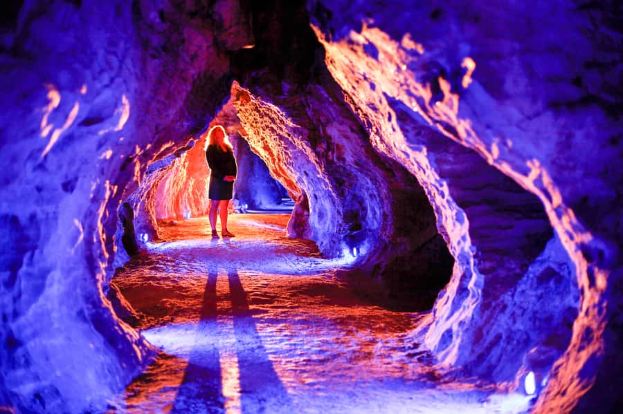 Waitomo Caves: Ruakuri Glowworm Cave Guided Walking Tour - Ruakuri Cave Meets Waitomo: What Makes This Walk Different