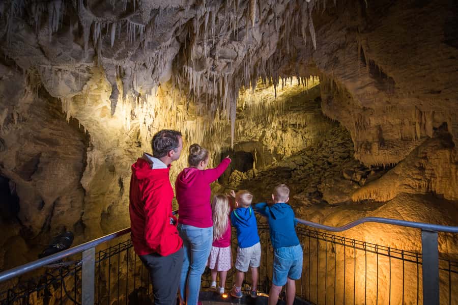 Waitomo Caves: Ruakuri Glowworm Cave Guided Walking Tour - Glowworms Up Close: Seeing Them Well and Photographing Without Stress
