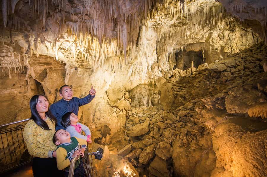 Waitomo Caves: Ruakuri Glowworm Cave Guided Walking Tour - What the Local Guide Adds: Stories, Legends, and Funny Moments