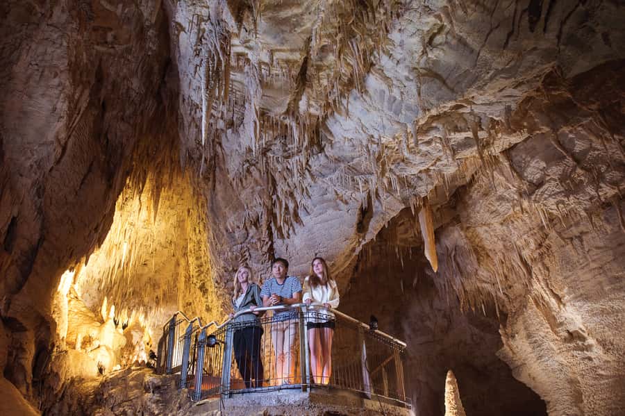 Waitomo Caves: Ruakuri Glowworm Cave Guided Walking Tour - Price and Value: Is $69 Worth It for 90 Minutes?