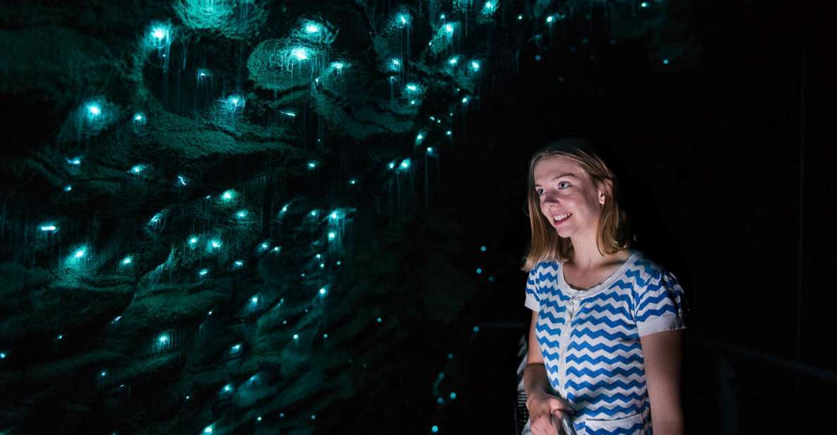 Waitomo Caves: Ruakuri Glowworm Cave Guided Walking Tour - Parking, Timing, and the 10-Minute Drive Detail
