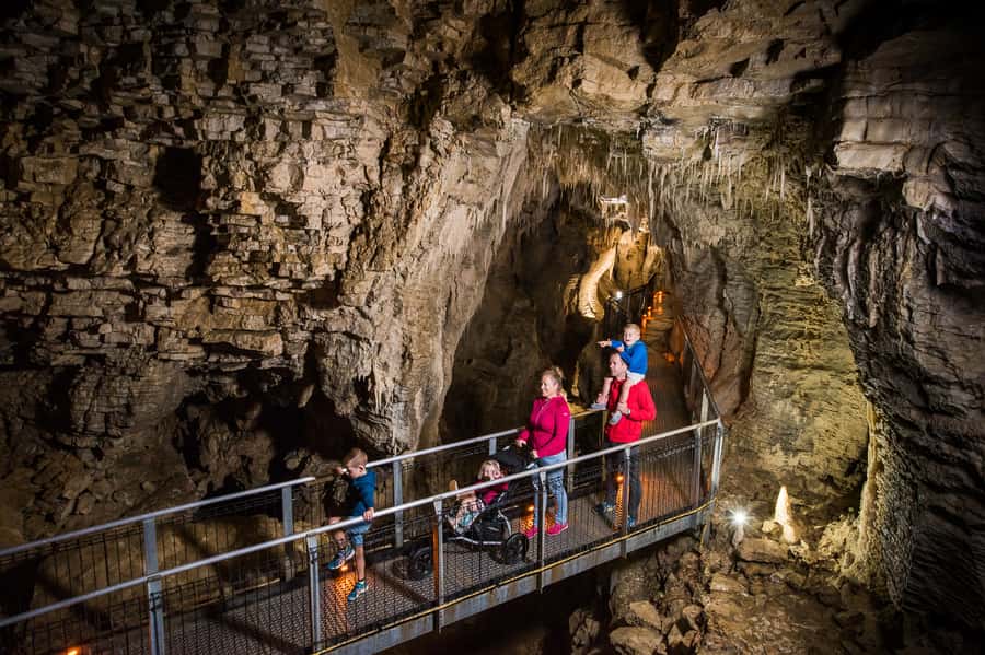 Waitomo Caves: Ruakuri Glowworm Cave Guided Walking Tour - Who This Tour Suits Best (and Who Might Want a Different Option)