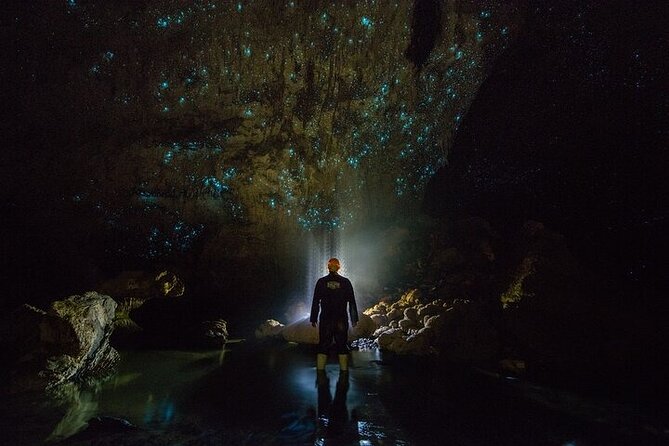 Waitomo Glow Worm Caves - Glowworm Caves in Waitomo: Why This Tour Feels So Special
