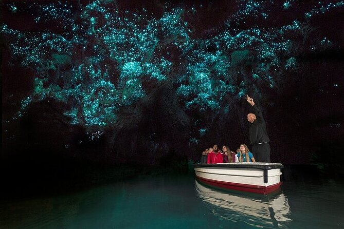 Waitomo Glow Worm Caves - Leaving Auckland: Pickup, Comfort, and the Scenic Drive That Builds Anticipation