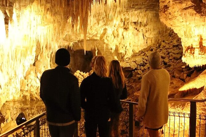 Waitomo Glow Worm Caves - The Waitomo River Boat Ride: The Moment Everyone Remembers