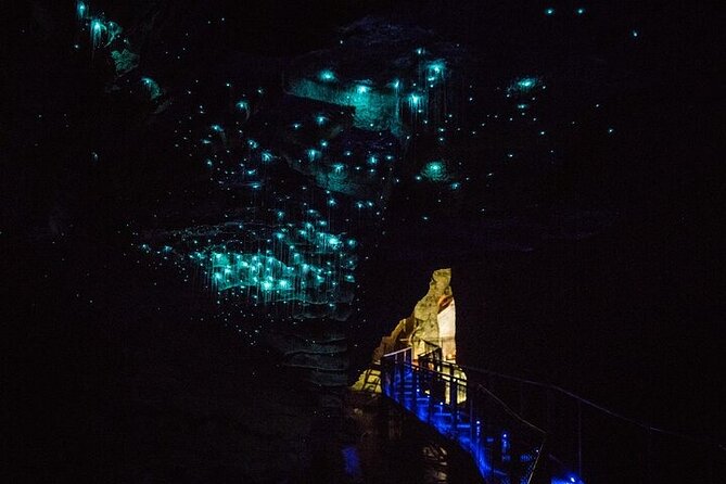 Waitomo Glow Worm Caves & Te Puia - Rotorua's Geothermal Valley - Should you book this tour?