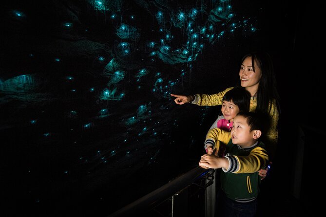 Waitomo Glowworm Caves and Kiwi House Small Group from Auckland - Getting from Auckland to Waitomo without losing the day