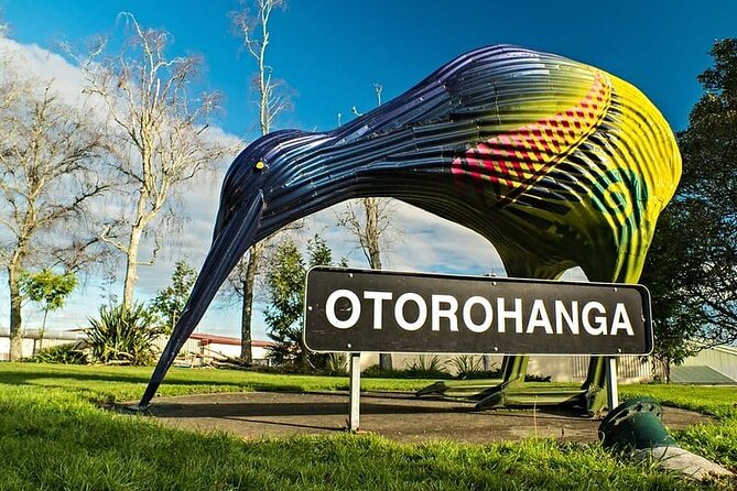 Waitomo Glowworm Caves and Kiwi House Small Group from Auckland - Guides and hosting: what the best days have in common
