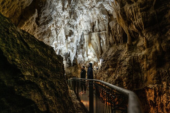 Waitomo Glowworm Caves and Kiwi House Small Group from Auckland - Price and value: what you’re really paying for