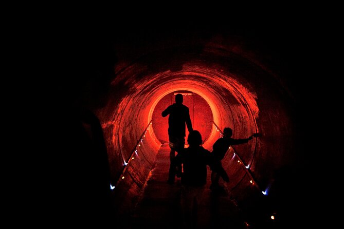 Waitomo Glowworm Caves and Kiwi House Small Group from Auckland - Who should book this tour (and who might want a different plan)