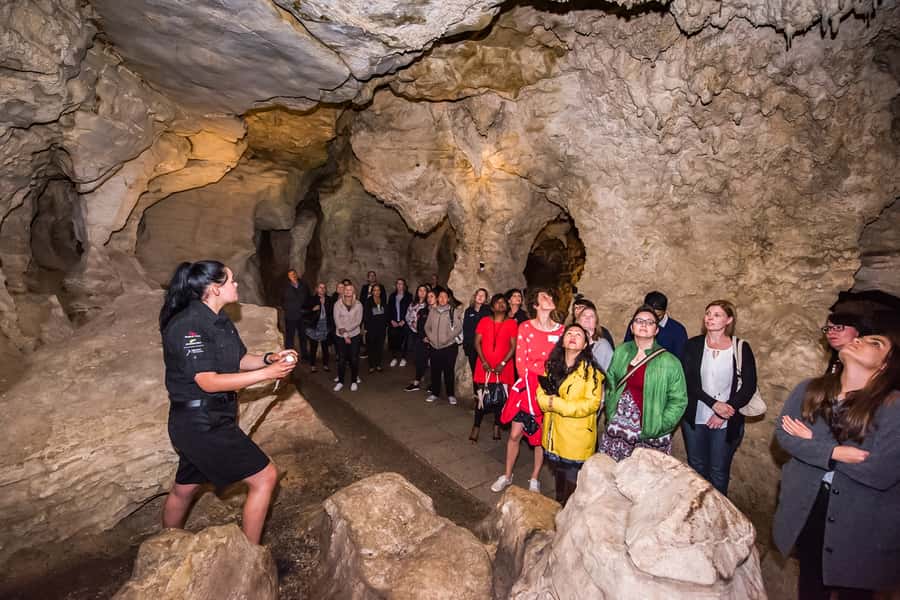 Waitomo: Glowworm Caves Guided Tour by Boat - Key things I’d bookmark before you go