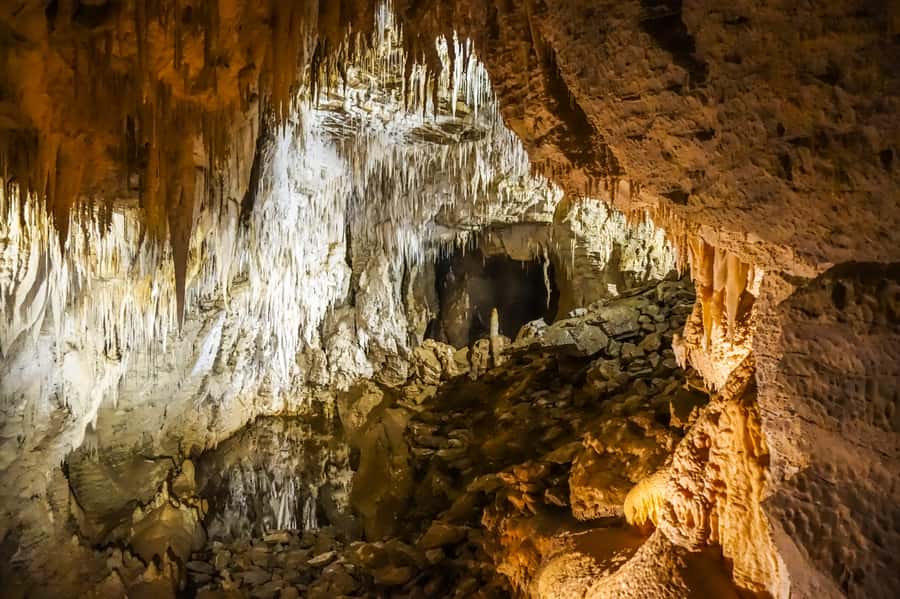 Waitomo: Glowworm Caves Guided Tour by Boat - Māori stewardship and the cave science you actually remember