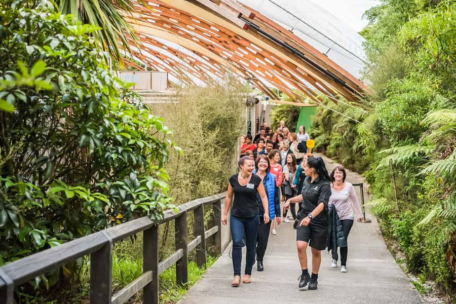 Waitomo: Glowworm Caves Guided Tour by Boat - Price and value: how $48 fits a 1-hour visit