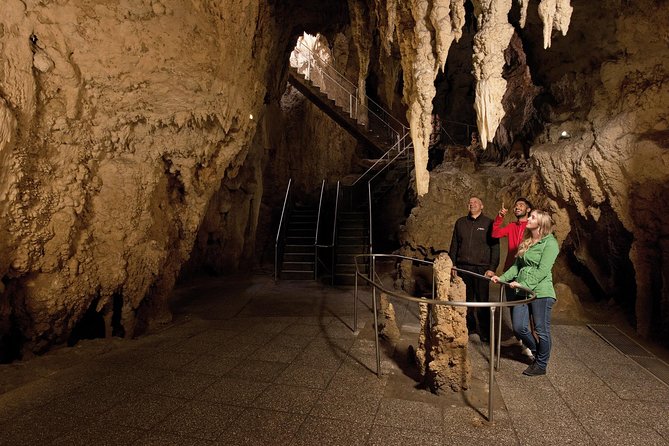 Waitomo Glowworm Caves Guided Tour - From Visitor Centre to Cathedral Cave: The On-Foot Part