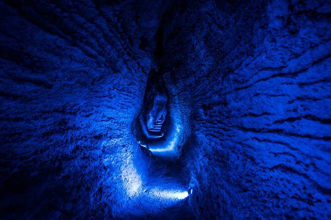 Waitomo Glowworm & Ruakuri Twin Cave - Private Tour From Auckland - Key highlights I’d put on your shortlist