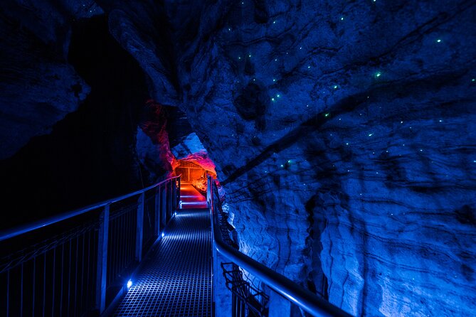Waitomo Glowworm & Ruakuri Twin Cave - Private Tour From Auckland - Getting to Waitomo: Auckland pickup, coffee breaks, and the morning rhythm