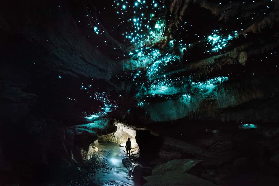 Waitomo: Guided Eco-Cave Tour - The 210-minute flow: what you’ll actually do