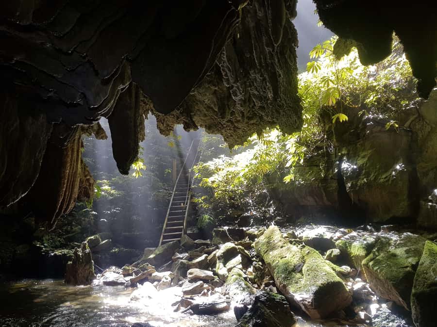 Waitomo: Guided Eco-Cave Tour - Caving reality check: what “adventure-style” means for your body