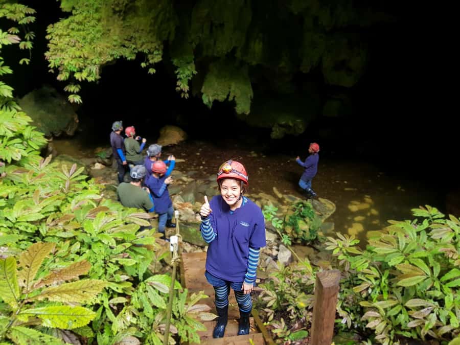 Waitomo: Guided Eco-Cave Tour - Why the private farm setup feels better than the big-crowd route