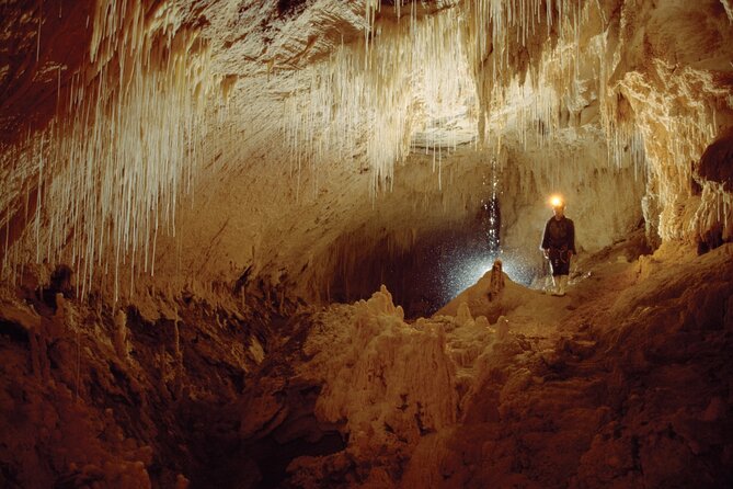 WAITOMO - Twin Caves Discovery - Private Day Tour from Auckland - Why this 6:00am start makes sense for Waitomo