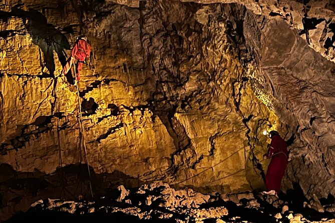 WAITOMO - Twin Caves Discovery - Private Day Tour from Auckland - Waitomo Homestead stop: fuel, coffee, and a breather