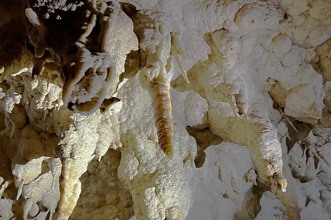 WAITOMO - Twin Caves Discovery - Private Day Tour from Auckland - Price and what you’re really paying for