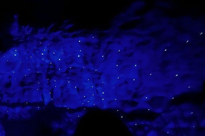 WAITOMO - Twin Caves Discovery - Private Day Tour from Auckland - Pacing, comfort, and who this tour suits best