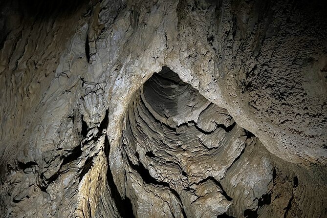WAITOMO - Twin Caves Discovery - Private Day Tour from Auckland - The role of the guide: why it can feel smoother underground